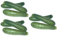 Zucchini-3x3.jpg
